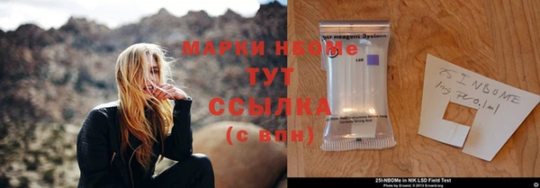 ПСИЛОЦИБИНОВЫЕ ГРИБЫ Верхний Тагил