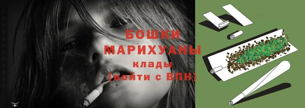 ПСИЛОЦИБИНОВЫЕ ГРИБЫ Верхний Тагил