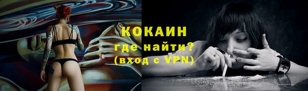 ПСИЛОЦИБИНОВЫЕ ГРИБЫ Верхний Тагил