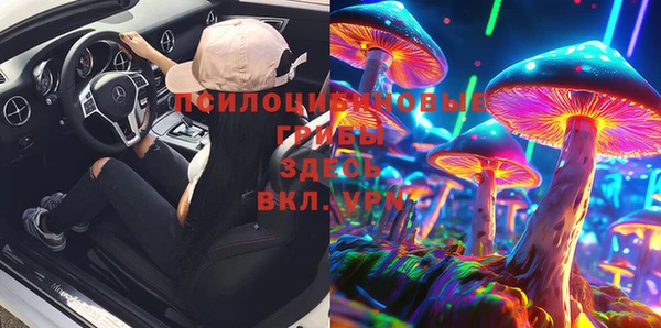 PSILOCYBIN Верхнеуральск