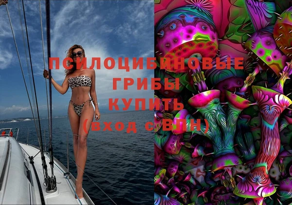 mdpv Верея