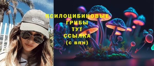 mdpv Верея