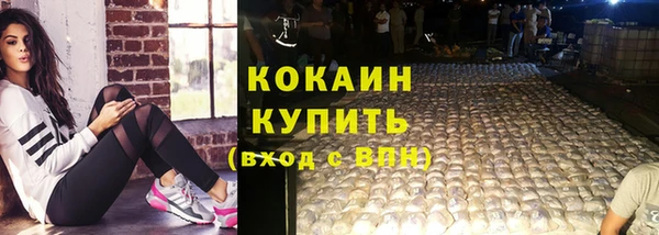 ПСИЛОЦИБИНОВЫЕ ГРИБЫ Верхний Тагил