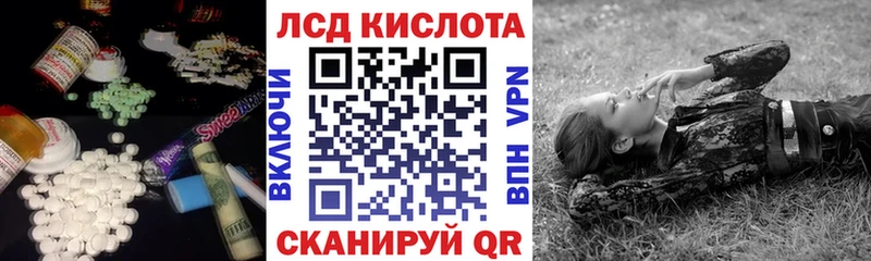 купить закладку  Череповец  LSD-25 экстази ecstasy 
