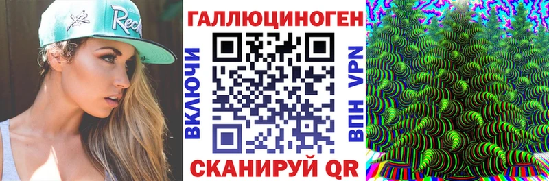 omg рабочий сайт  Череповец  Псилоцибиновые грибы GOLDEN TEACHER  сколько стоит 