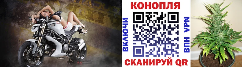 Бошки Шишки планчик  OMG ссылки  Череповец  цена  